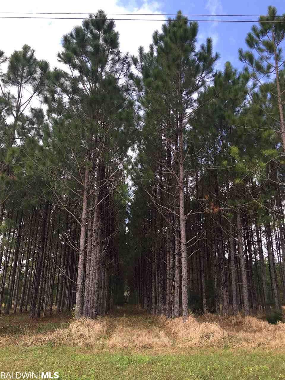 0 County Road 83 - Photo 1