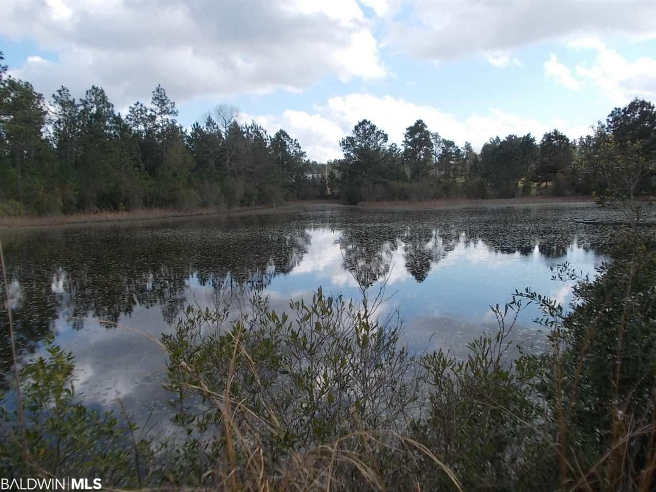39449 St Hwy 59 - Photo 1