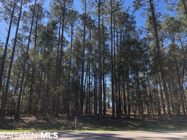 24382 County Road 38 - Photo 1
