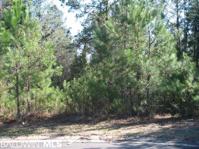 0 Wilkins Creek Court - Photo 1