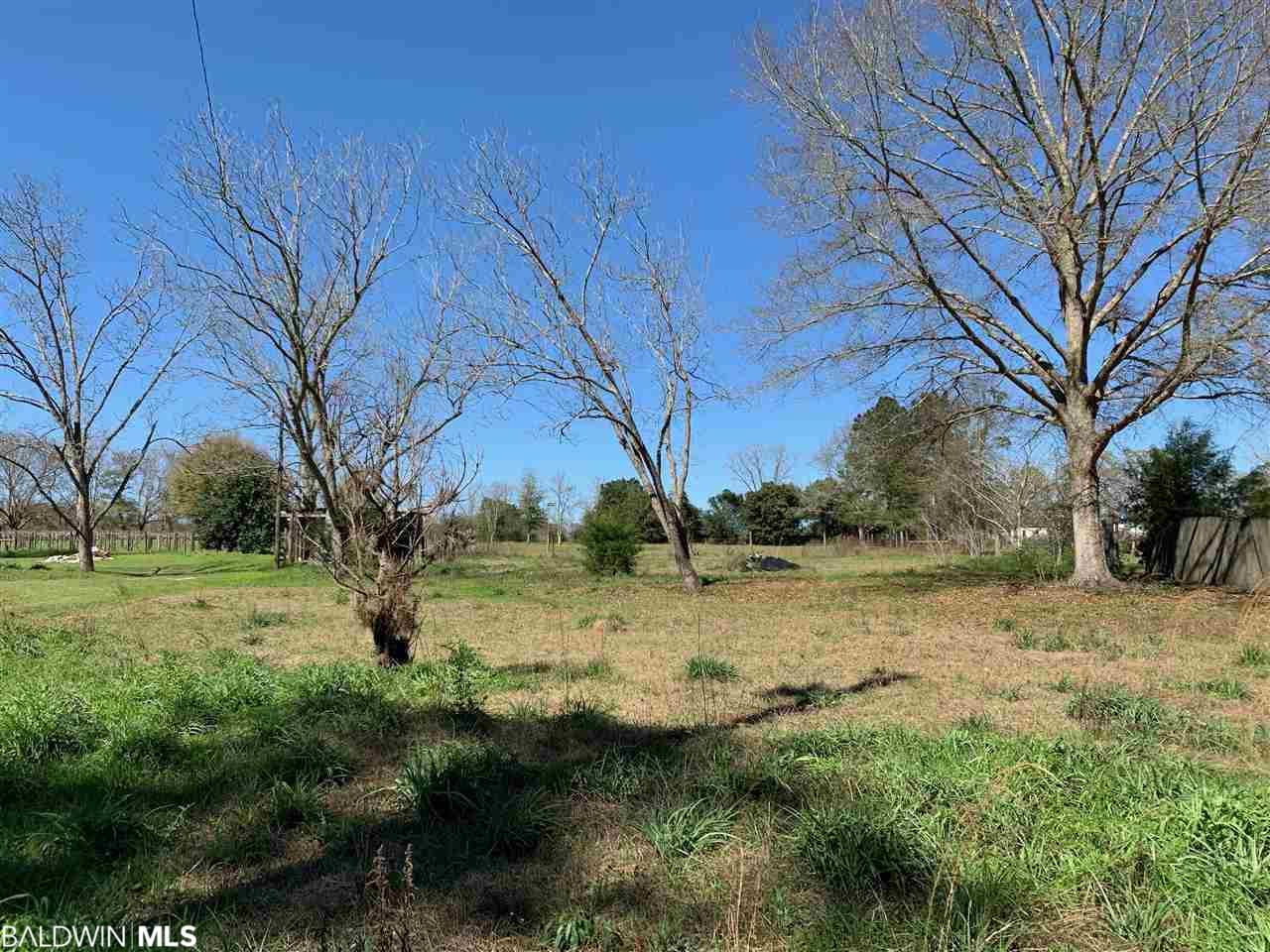 0 Martinville Loop - Photo 1