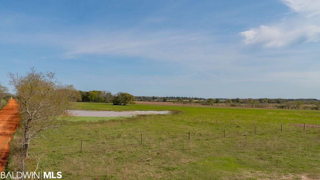Harms Rd - Photo 1