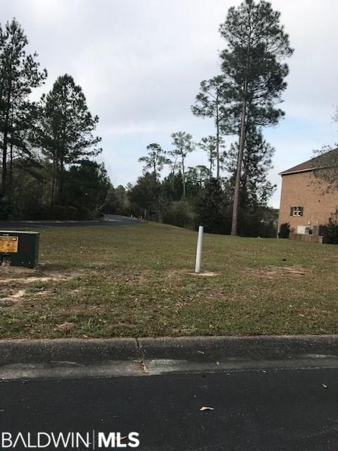 1 Bella Lane - Photo 1