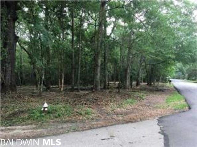 0 Audubon Drive - Photo 1