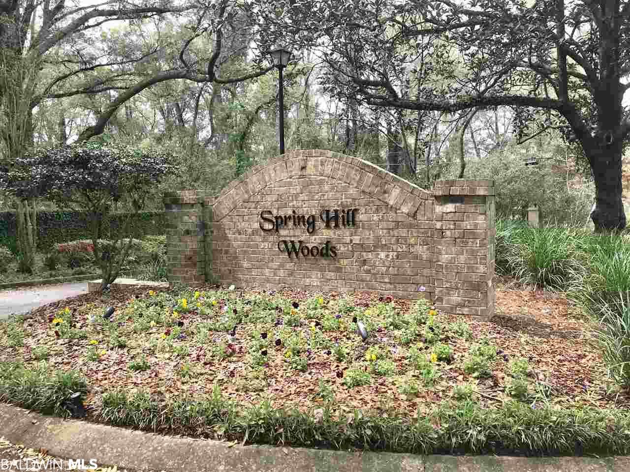 0 Springhill Woods Dr - Photo 1