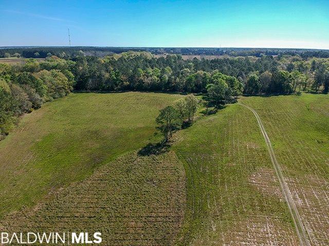 0 County Road 87 - Photo 1