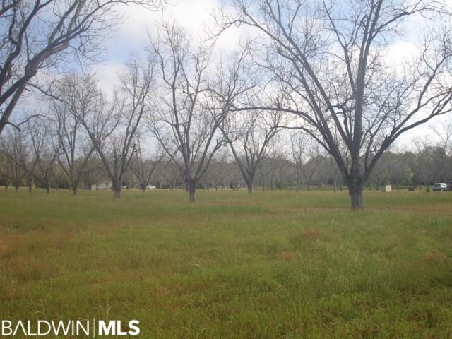 9130 County Road 11 - Photo 1