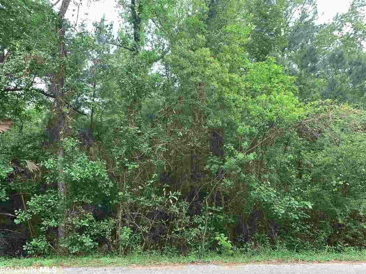 0 Mckenzie Rd - Photo 1