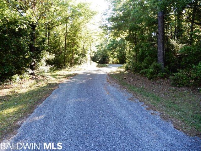 23000 Block Mccoy Road - Photo 1