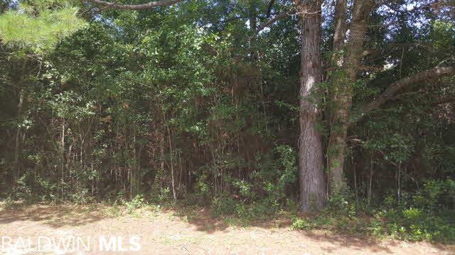 0 Locke Lane - Photo 1