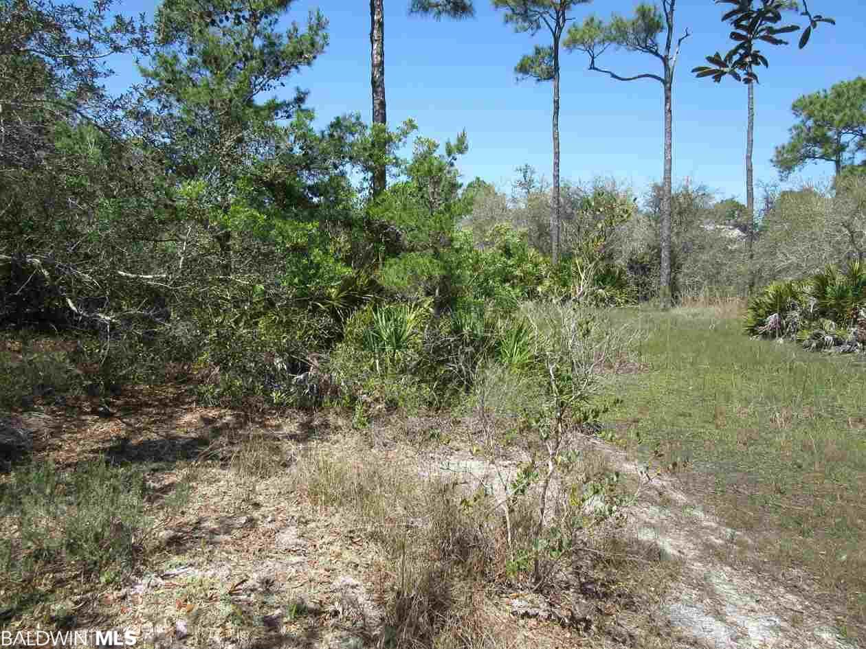 Zeanah Road - Photo 1