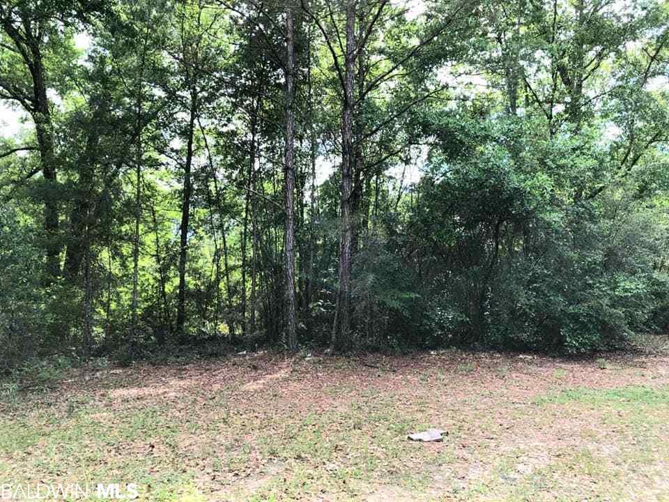 0 Dixon Rd - Photo 1
