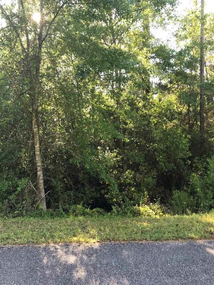 Lot 2 East River Road N - Photo 1