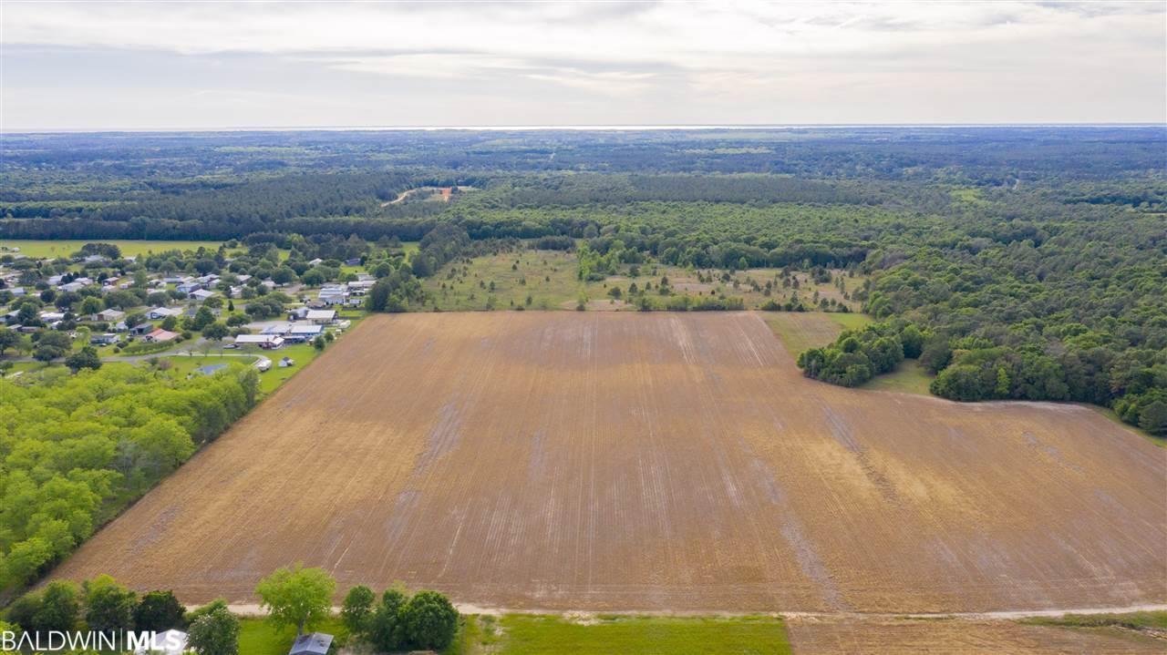 14501 Haislip Road - Photo 1