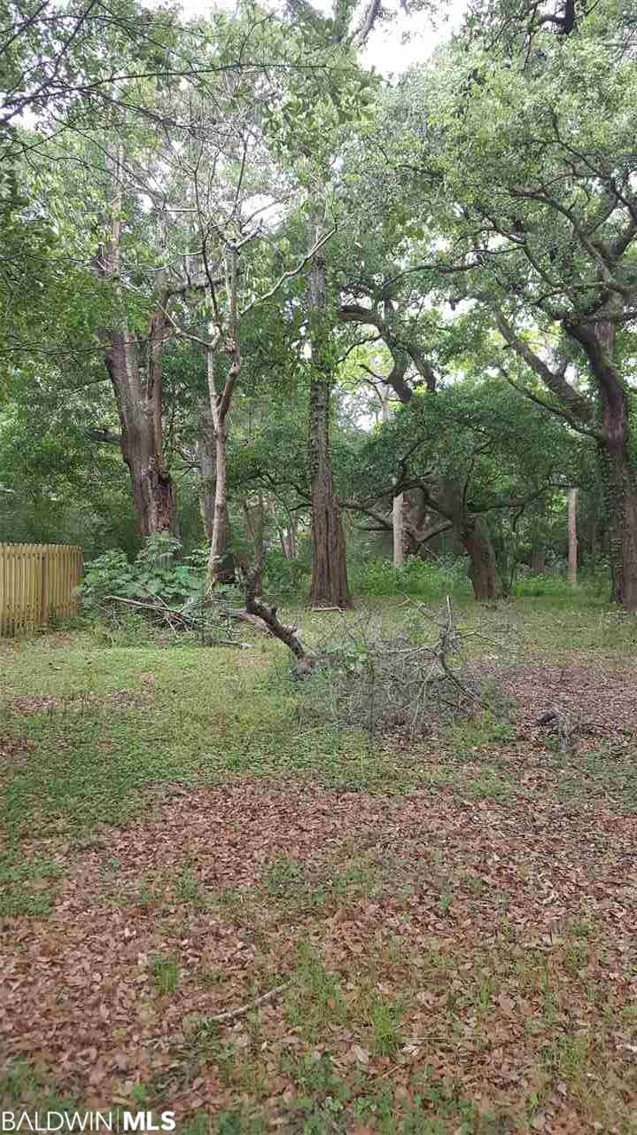 0 Jackson Circle Extension - Photo 1