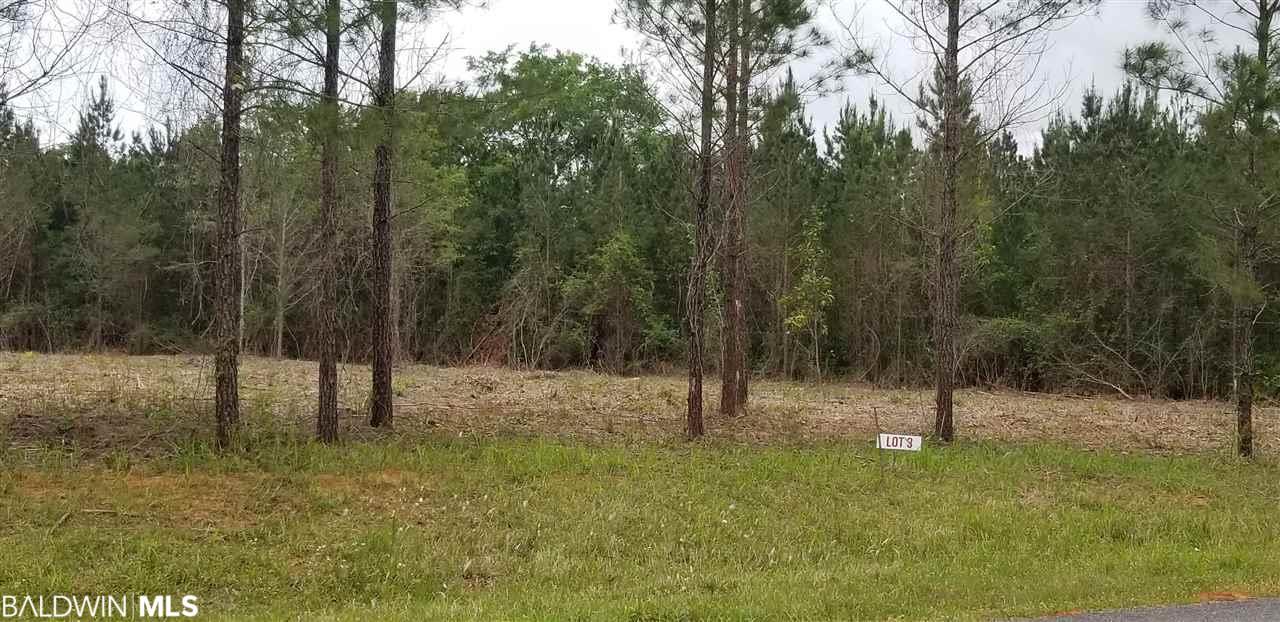 3 Taylor Still Road - Photo 1