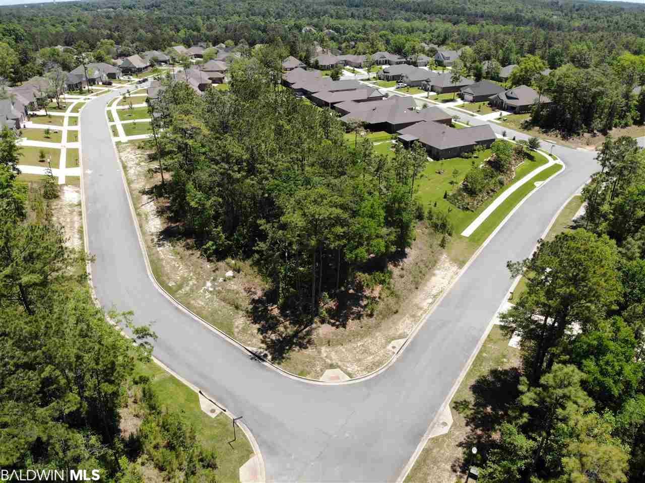 0 Elderberry Drive - Photo 1