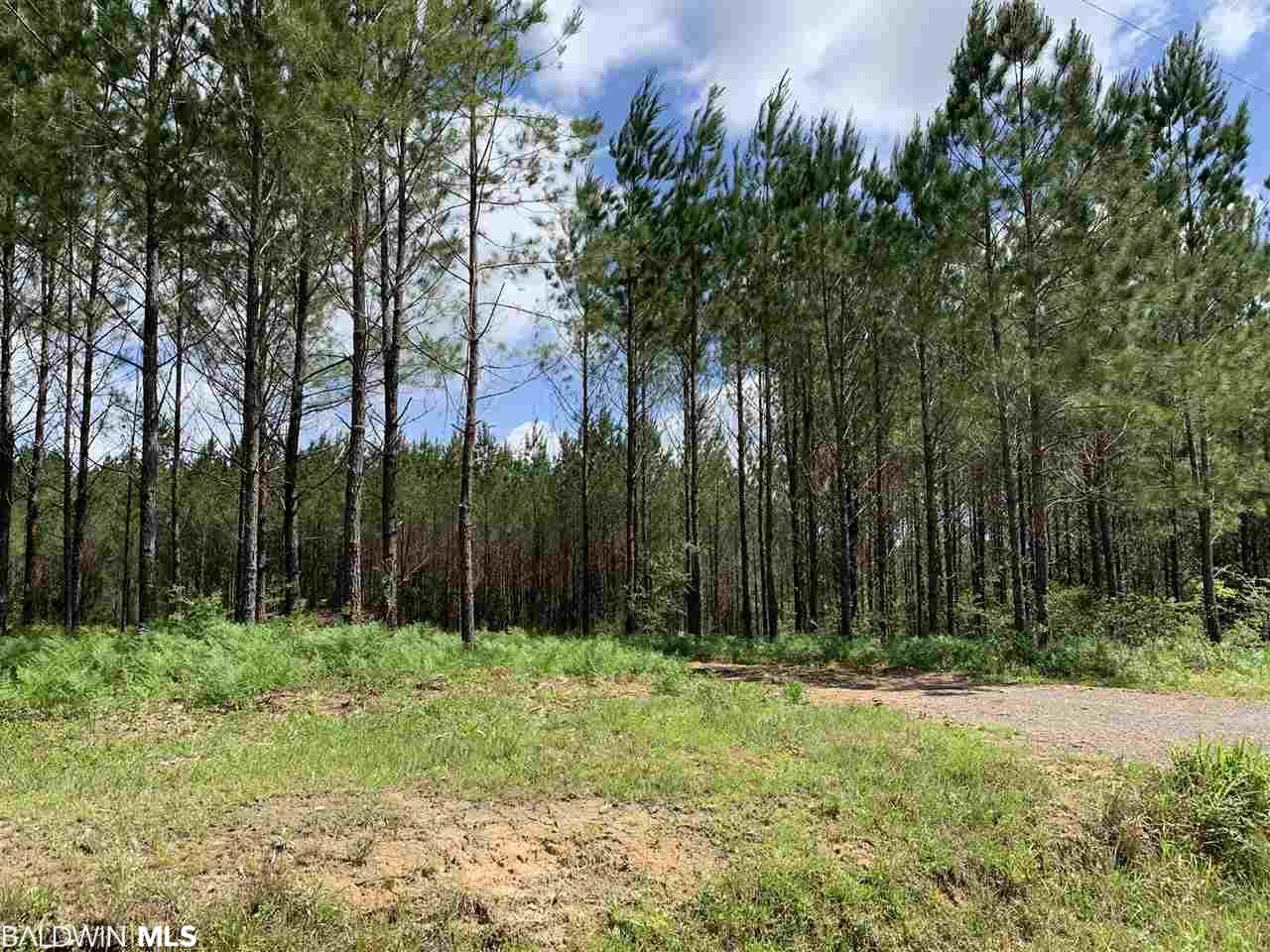 31810 Happy Hollow Rd - Photo 1