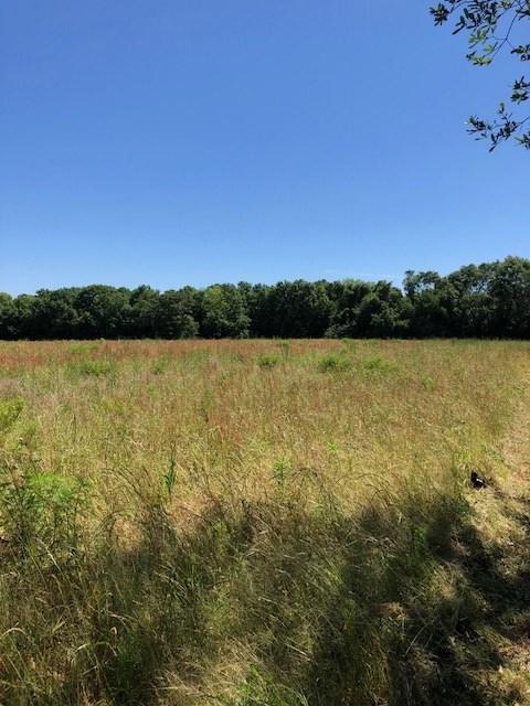 17623 Us Highway 98 - Photo 1
