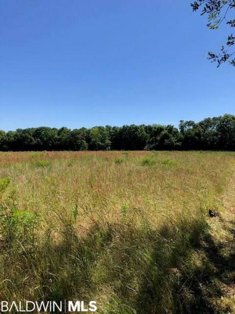 17623 Us Highway 98 - Photo 1