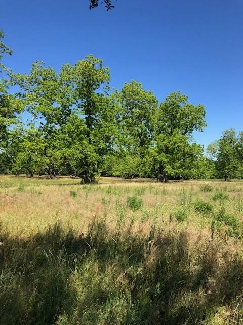 17623 Us Highway 98 - Photo 1