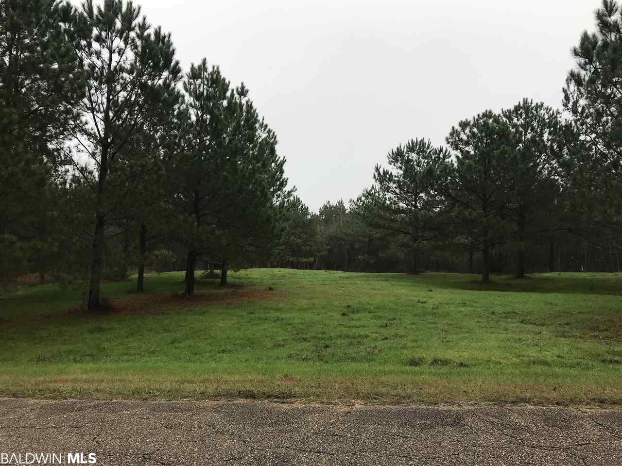 0 Shadow Creek Drive - Photo 1