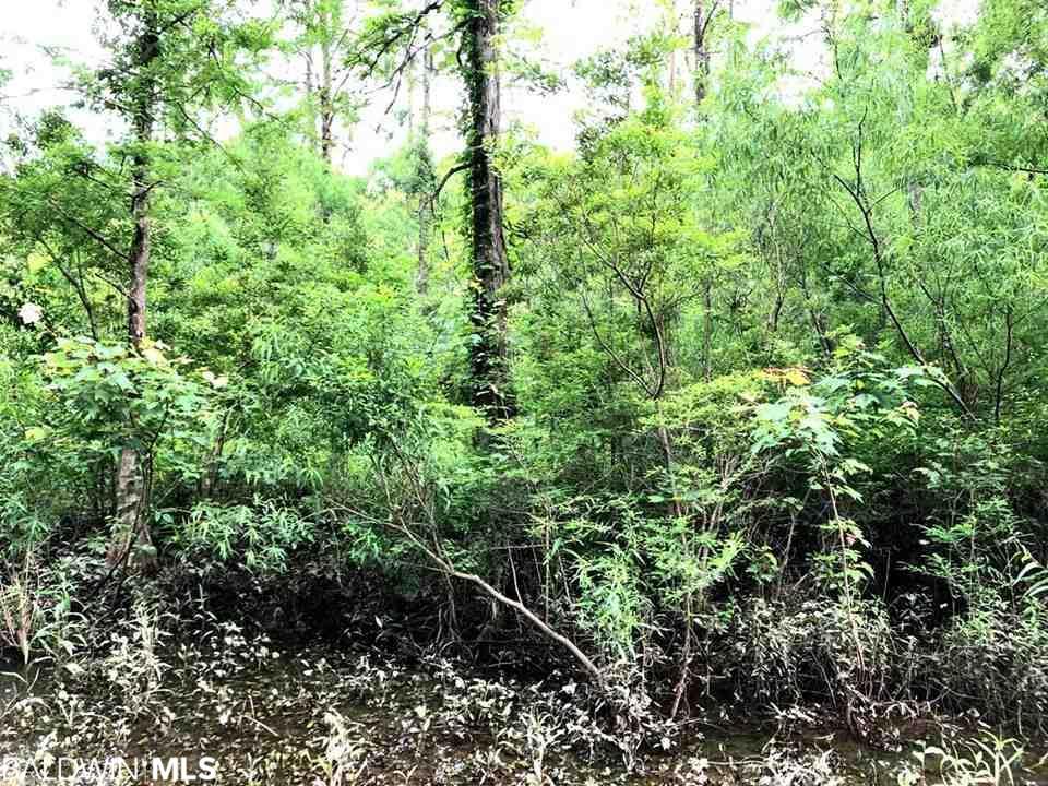 0 Bayou Road - Photo 1 0 Bayou Road - Photo 1