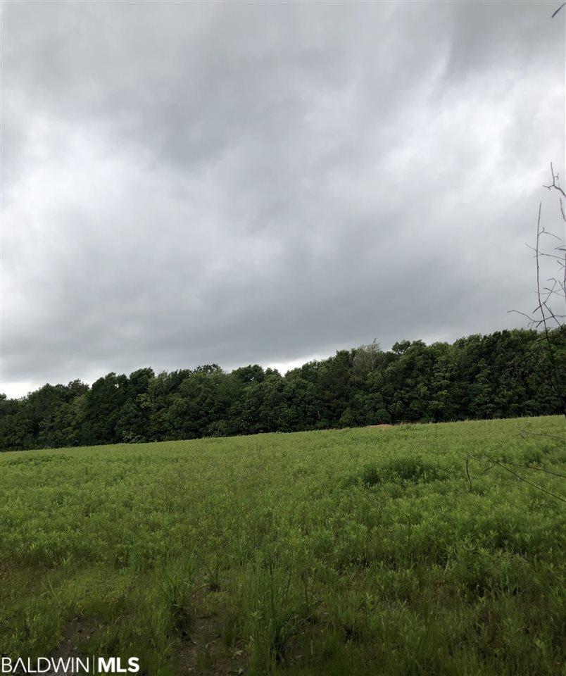 0 Forland Rd - Photo 1
