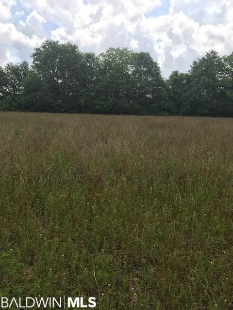 0 County Road 87 - Photo 1