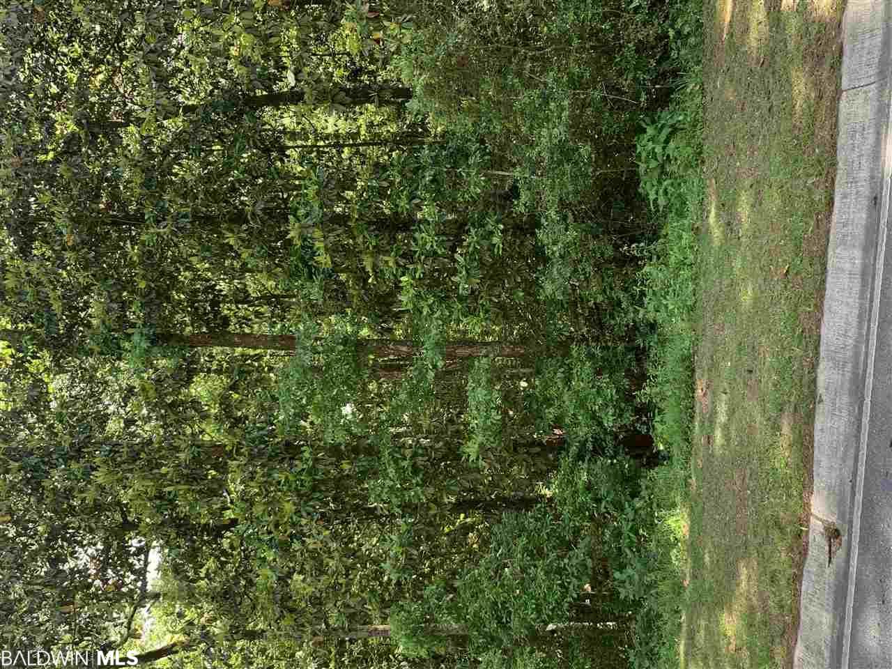 374 Ridgewood Drive - Photo 1