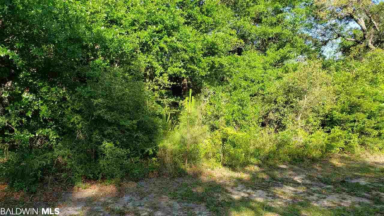 2734 Manuel Dr - Photo 1