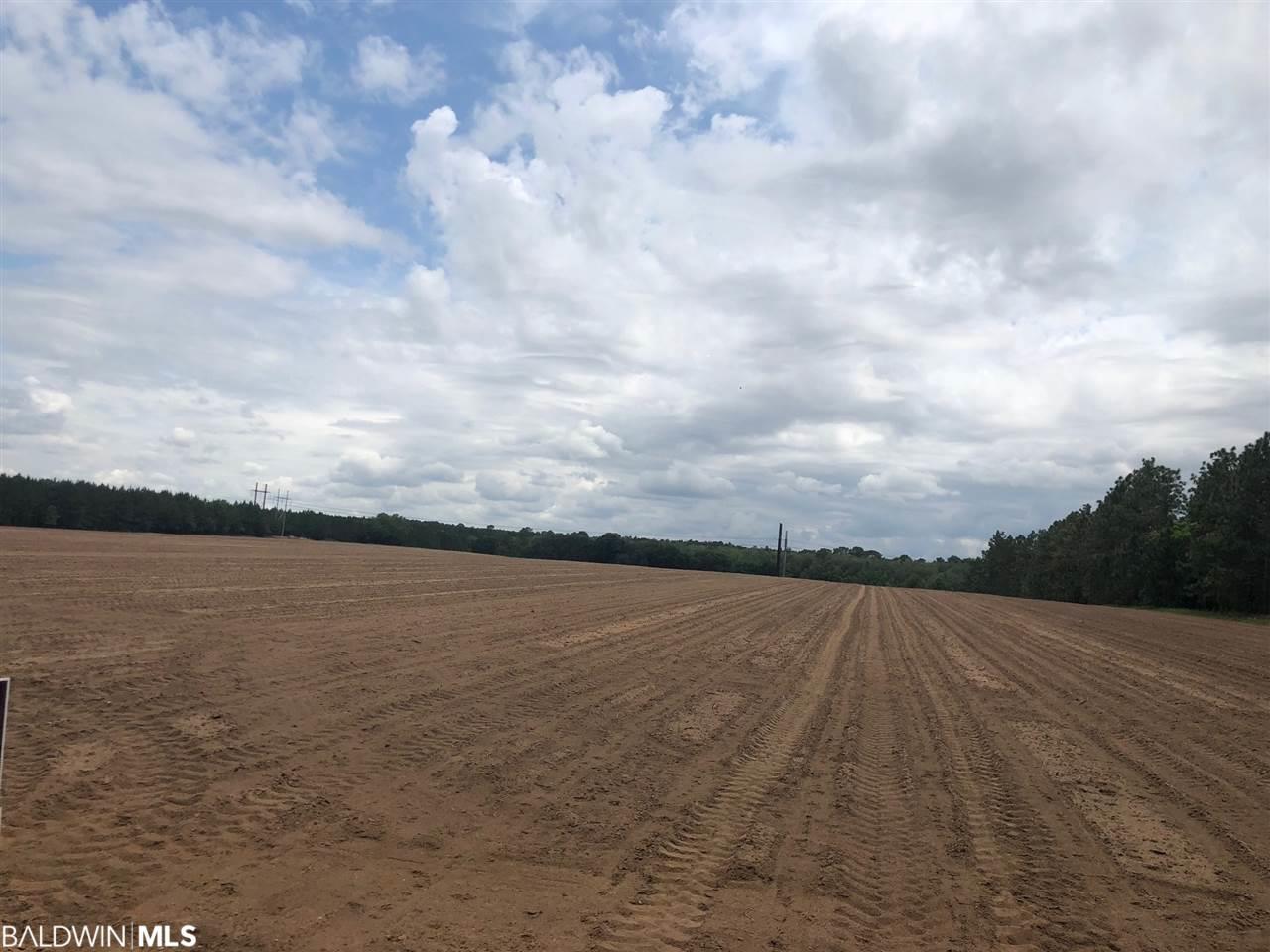 0 Private Rd - Photo 1