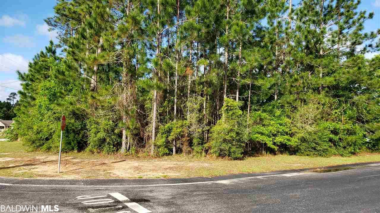 1941 Rosinton Dr - Photo 1