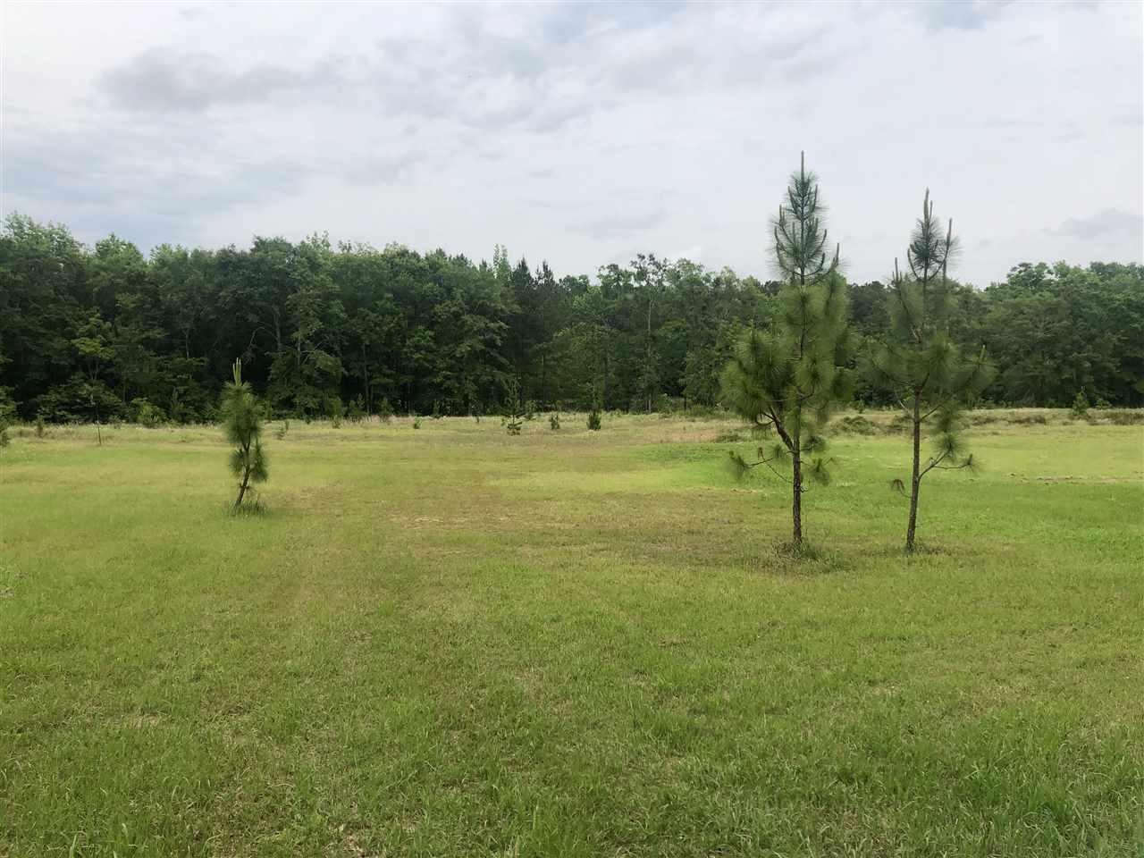 0 Sawyer Rd - Photo 1