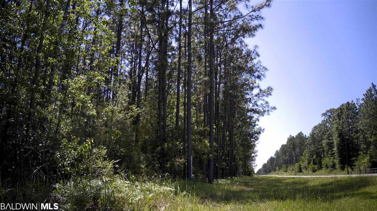 24766 County Road 87 - Photo 1