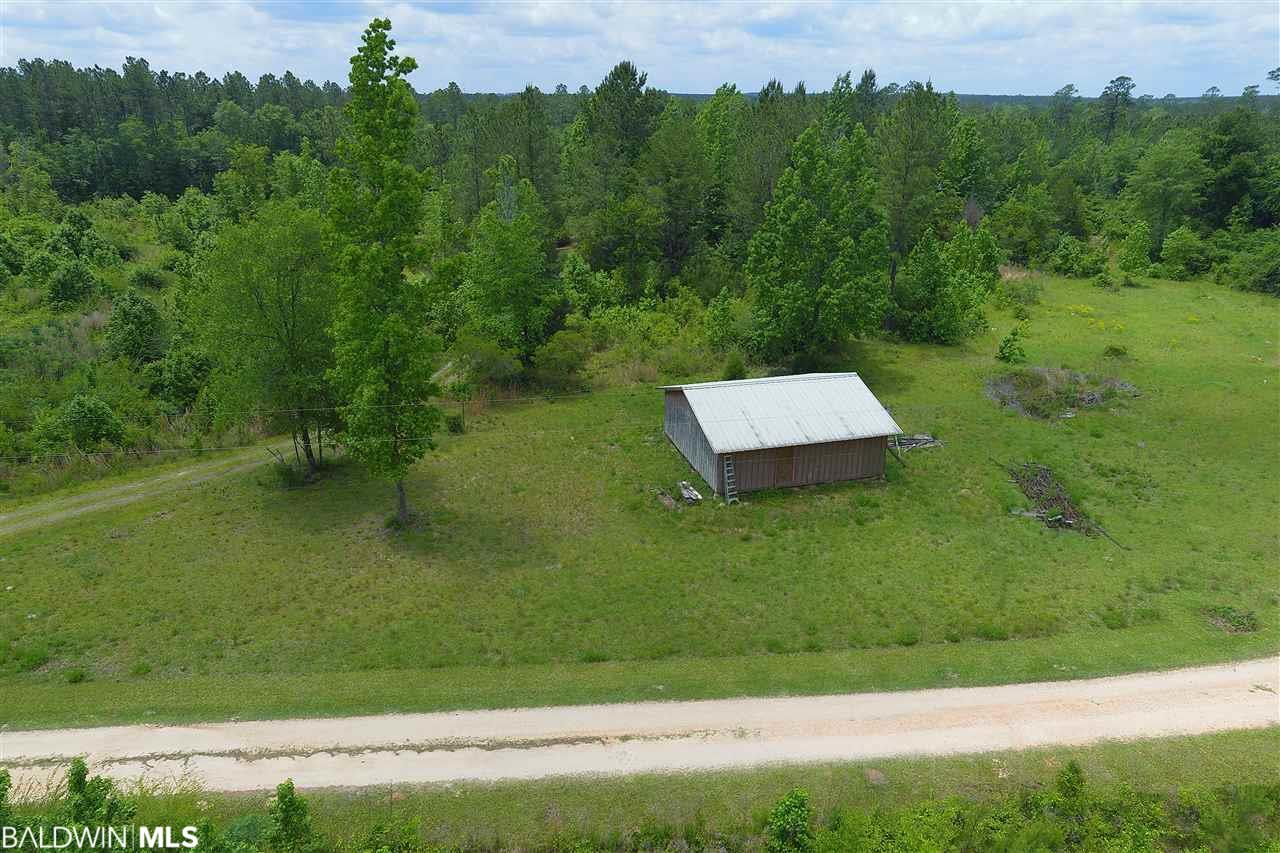 117 Oasis Drive - Photo 1