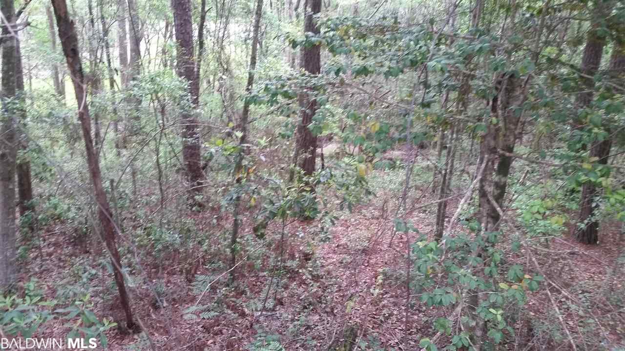 247 Ridgewood Drive - Photo 1