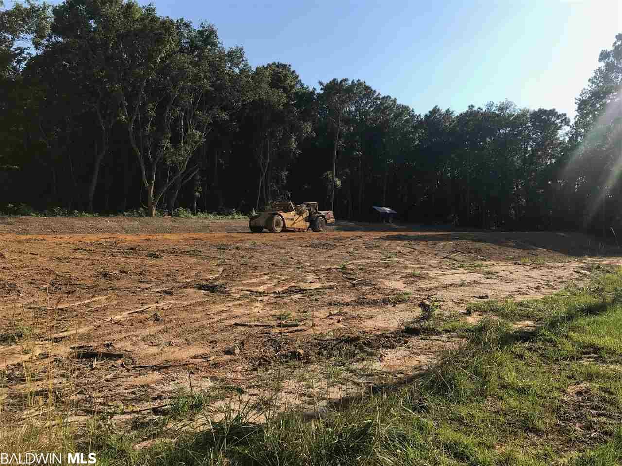 7940 Carter Lane - Photo 1