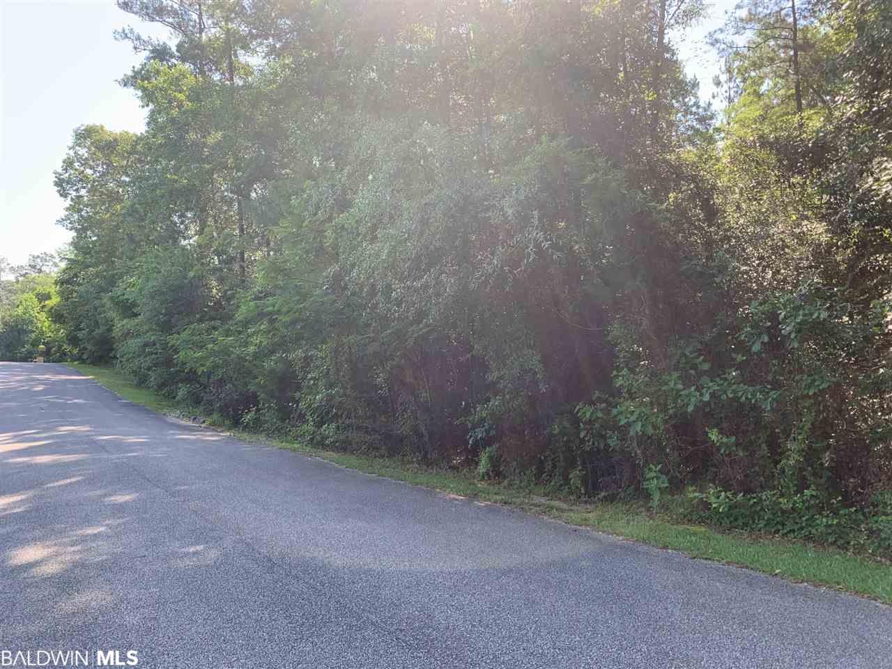0 Lake Juniper Rd - Photo 1