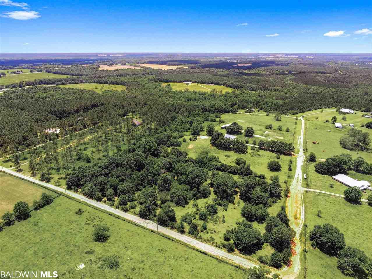 28855 Rose Run Rd - Photo 1