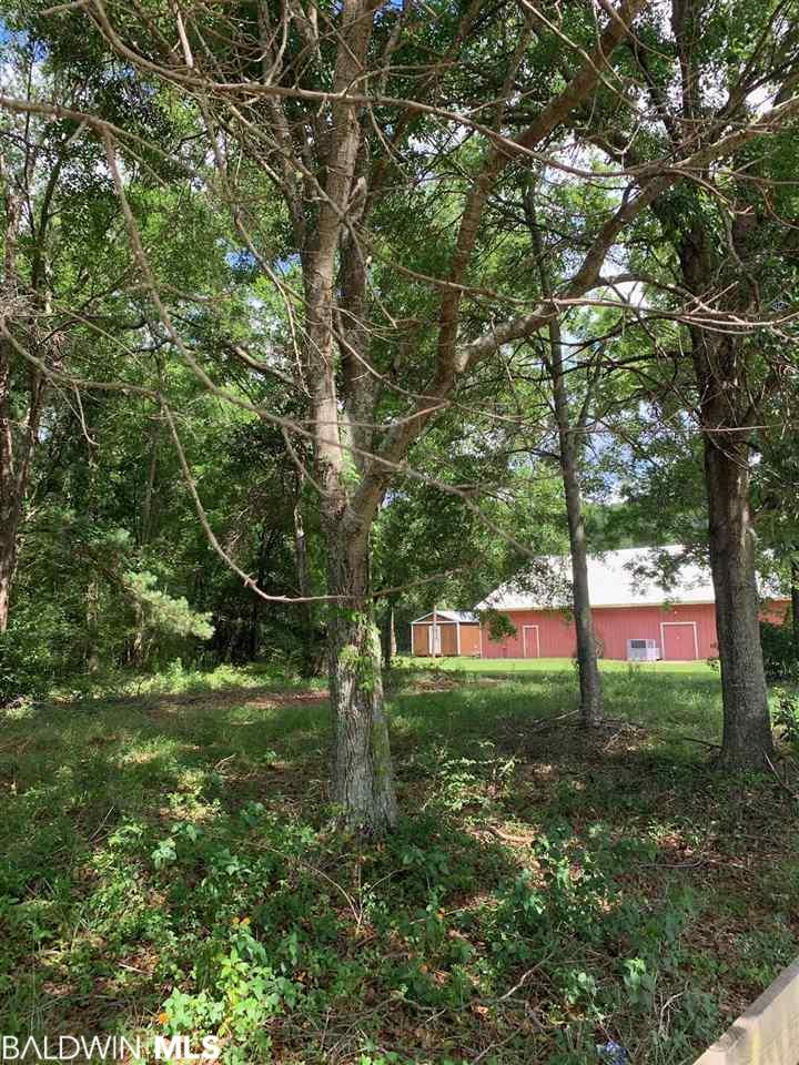 7903 Old Battles Road - Photo 1