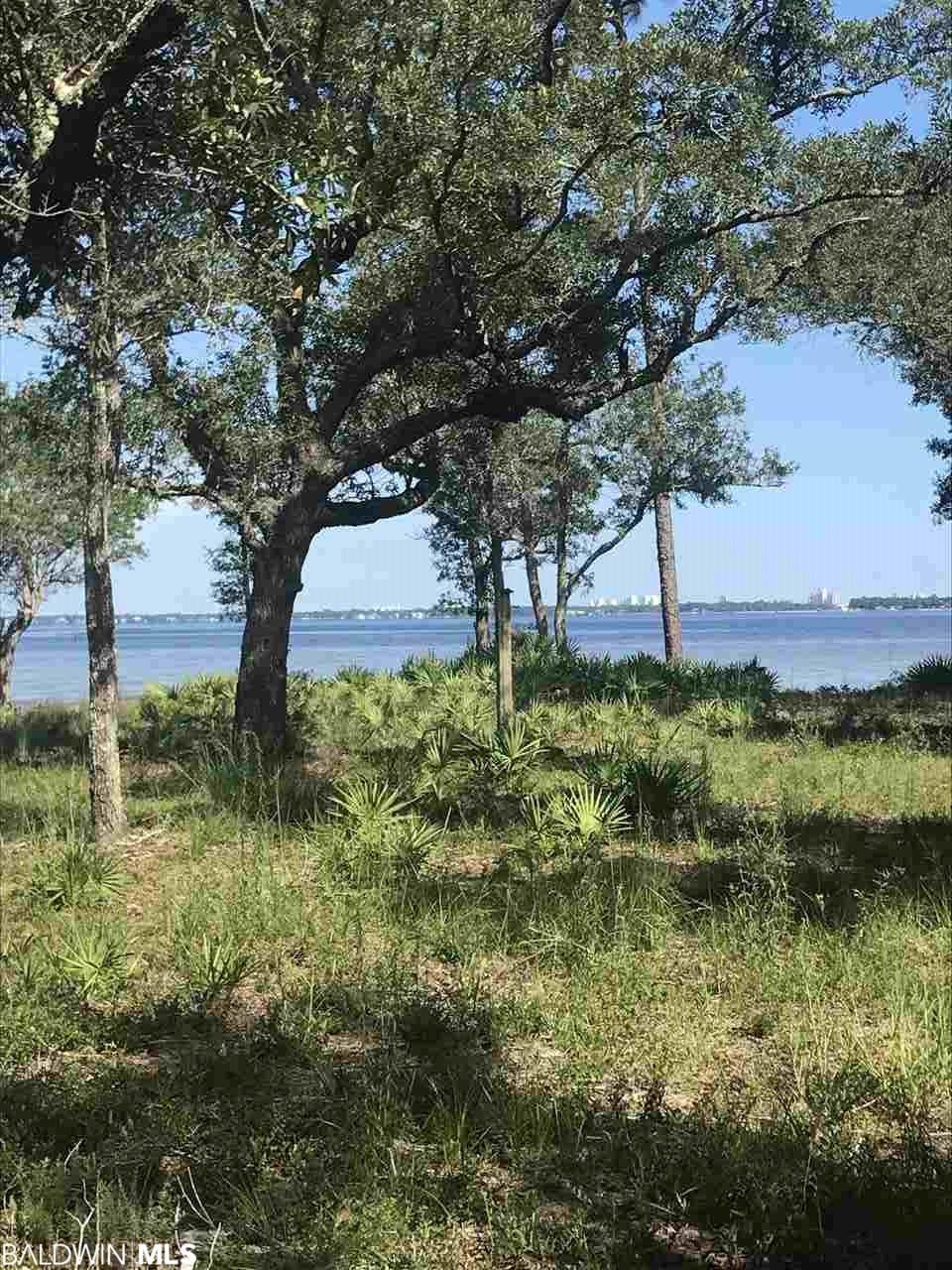 7746 Spring Branch Road - Photo 1