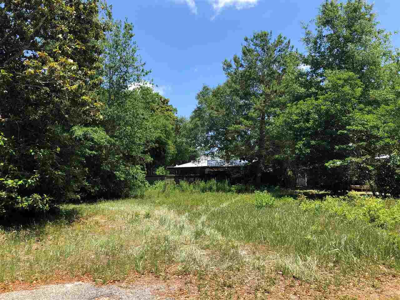 0 Armadillo Avenue - Photo 1