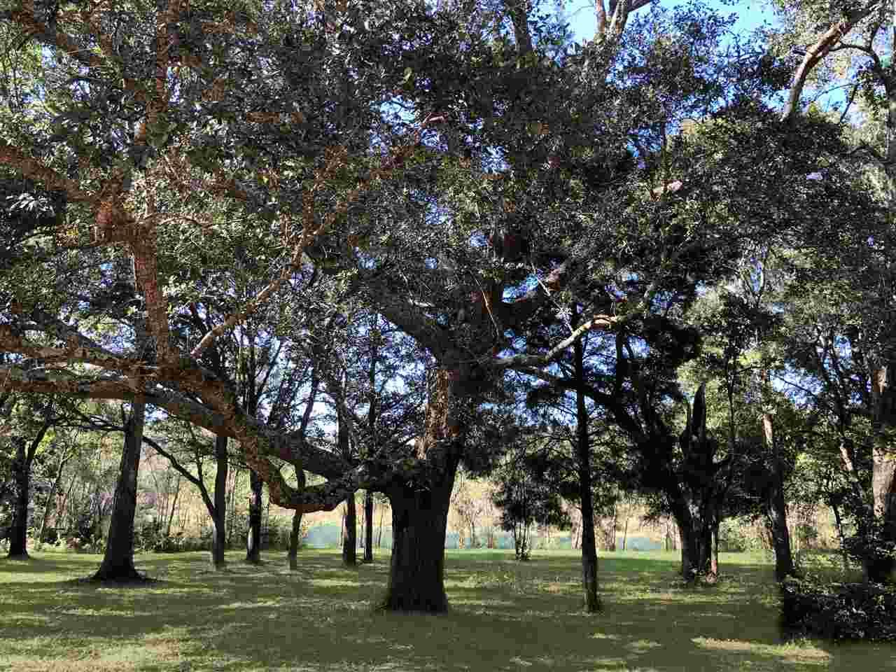 0 Beasley Road - Photo 1