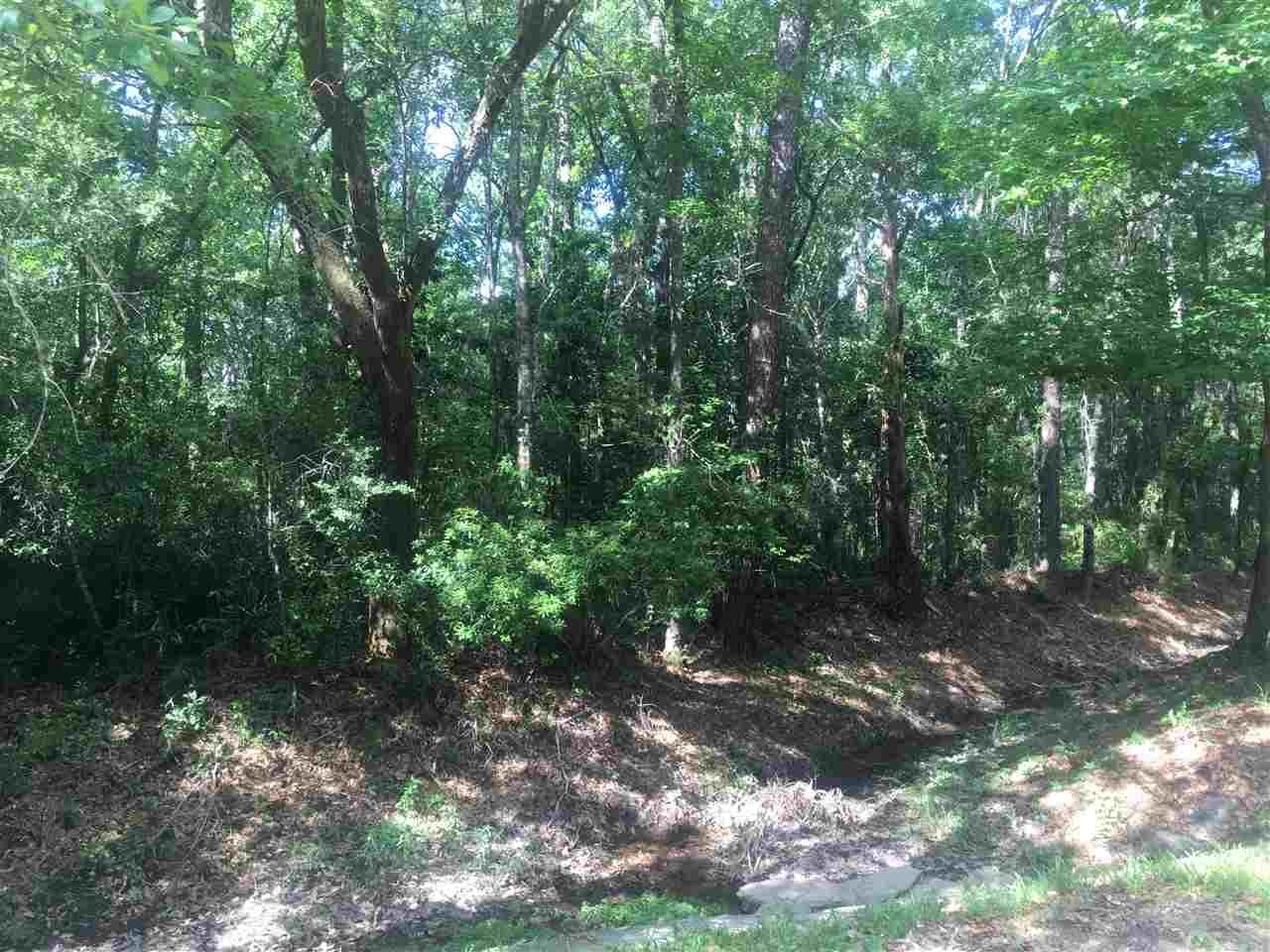 0 Higgins Road - Photo 1