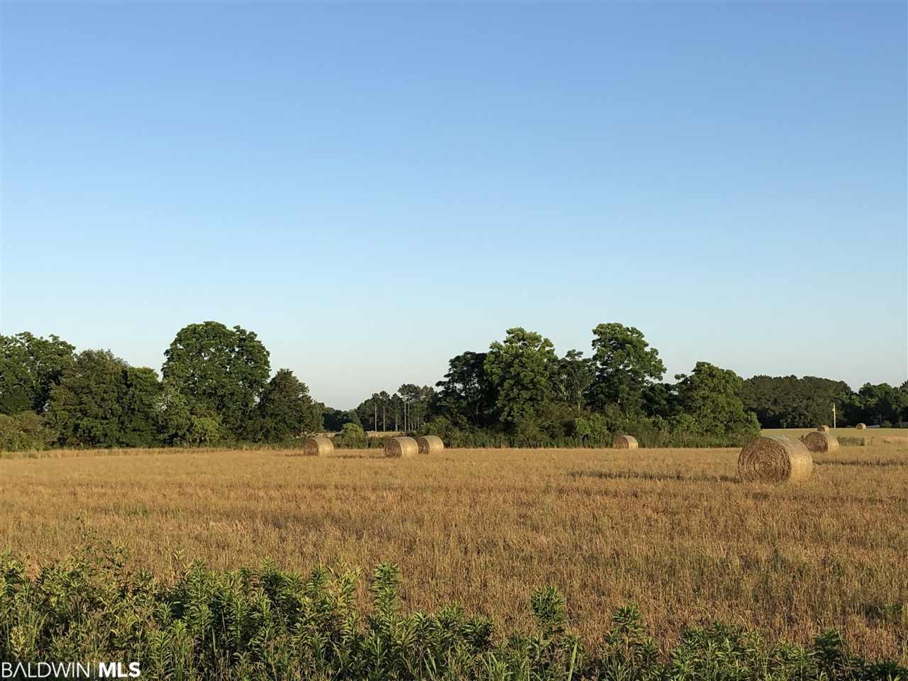 0 Ted Lysek Rd - Photo 1