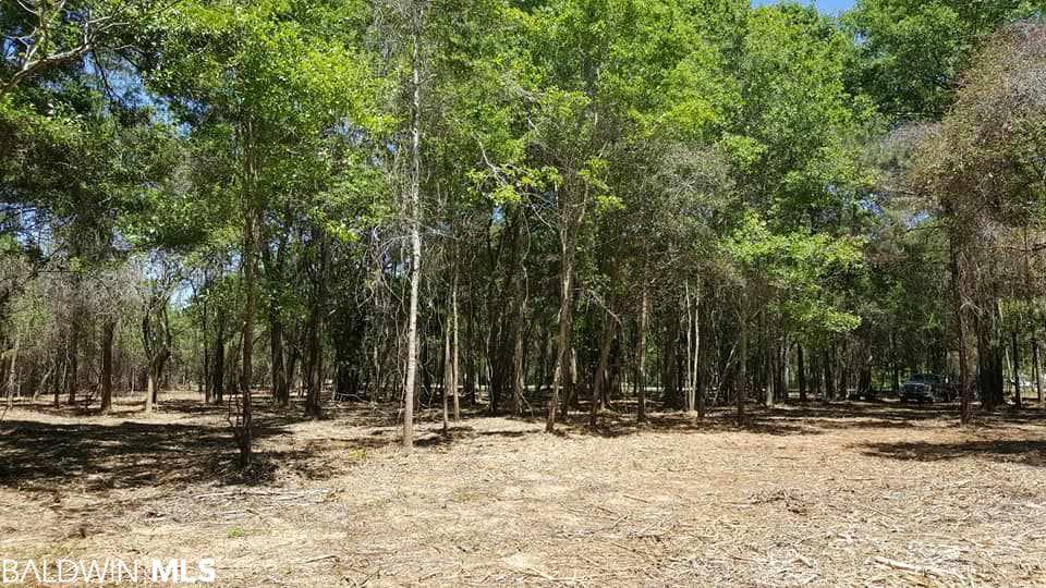 0 County Road 32 - Photo 1
