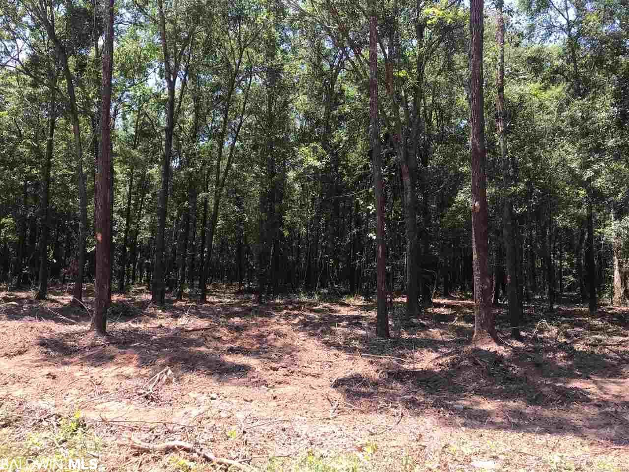 0 Brantley Lane - Photo 1