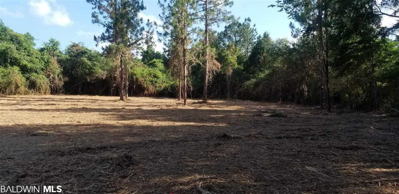 25444 Patterson Road - Photo 1