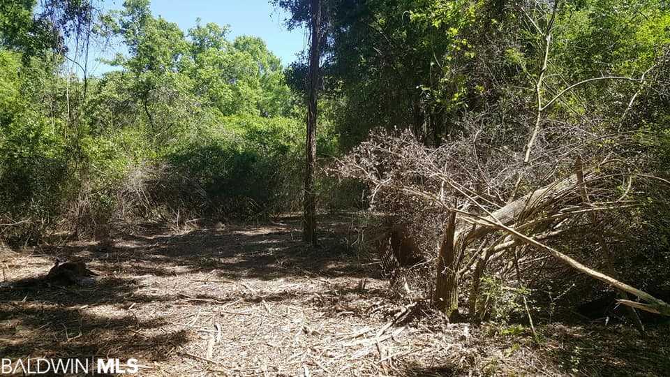 0 County Road 95 - Photo 1